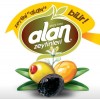 Alan Zeytinleri